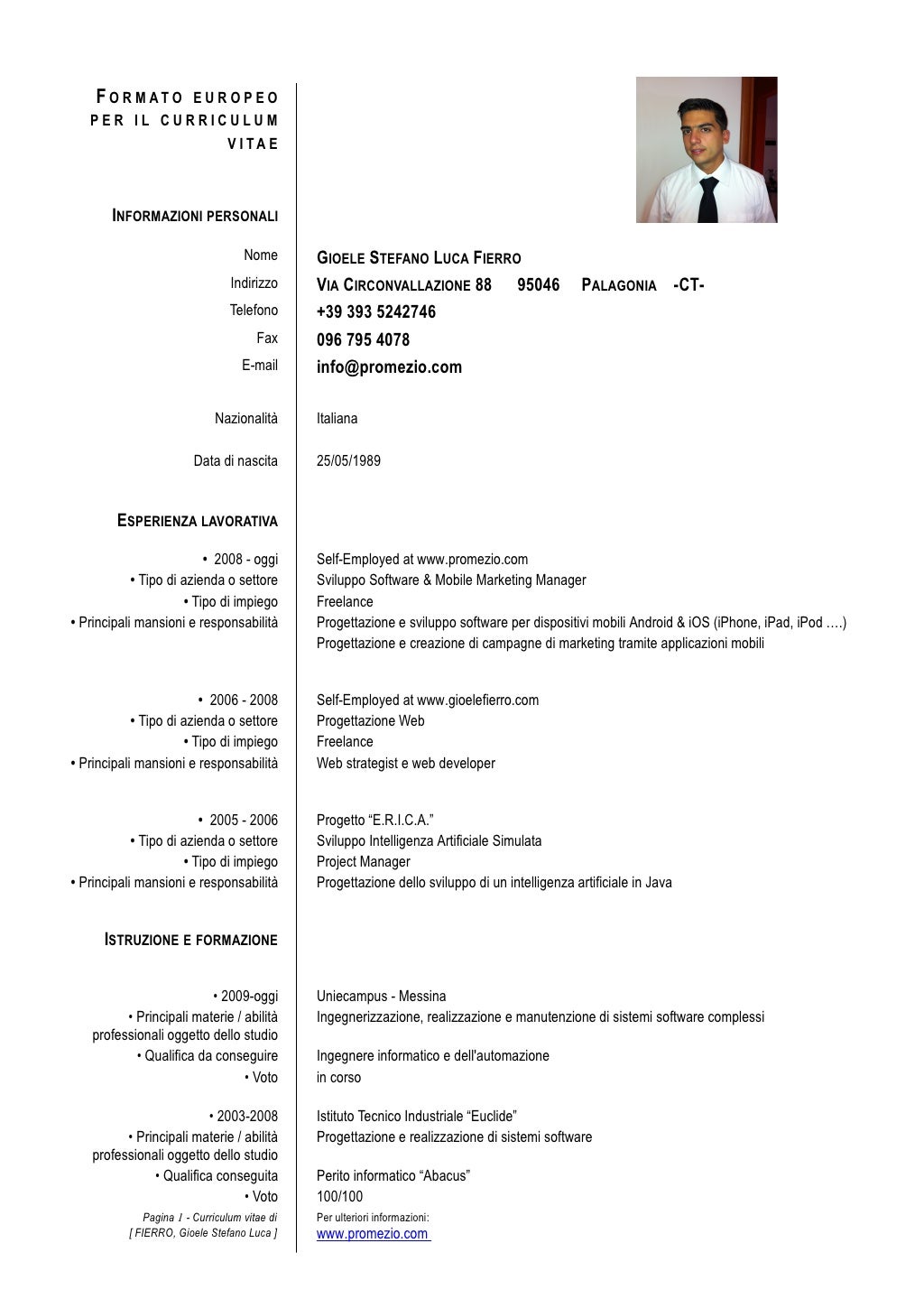 Curriculum vitae format in word picture