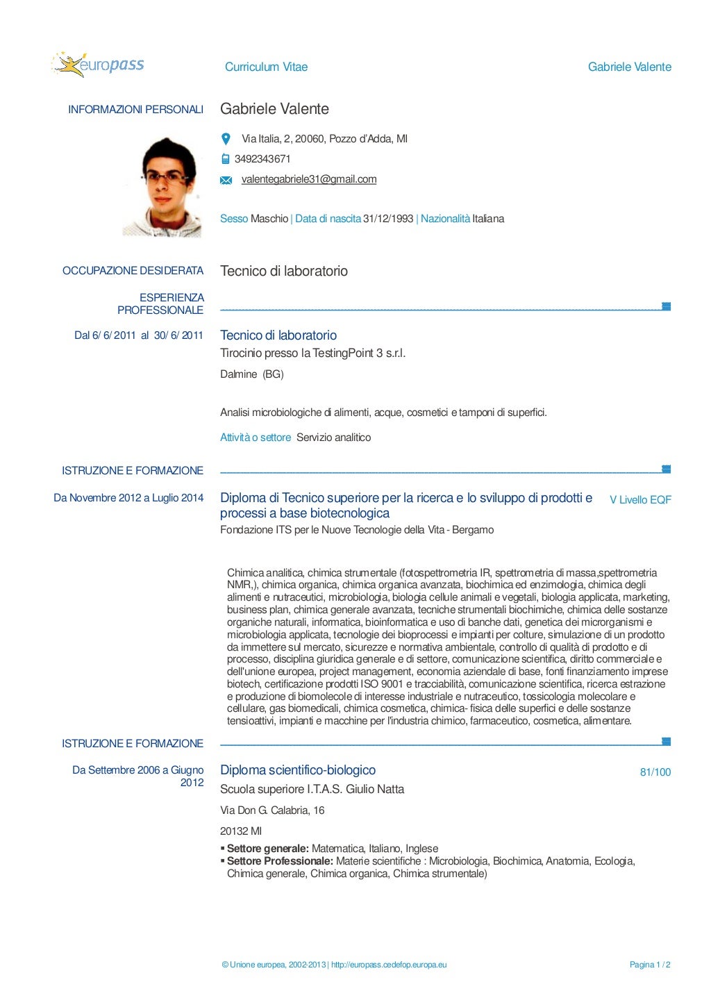 Cv europeo