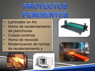 • Laminador en frio
• Horno de recalentamiento
de planchones
• Colada continúa
• Horno de recocido
• Modernización de hornos
de recalentamiento y
recocidos