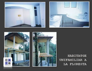  Cv gràfic 25.04.2012