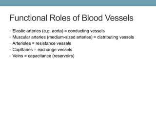 Functional Roles of Blood Vessels 
• Elastic arteries (e.g. aorta) = conducting vessels 
• Muscular arteries (medium-sized arteries) = distributing vessels 
• Arterioles = resistance vessels 
• Capillaries = exchange vessels 
• Veins = capacitance (reservoirs) 
 