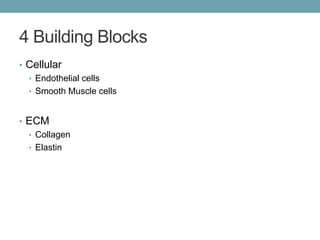 4 Building Blocks 
• Cellular 
• Endothelial cells 
• Smooth Muscle cells 
• ECM 
• Collagen 
• Elastin 
 