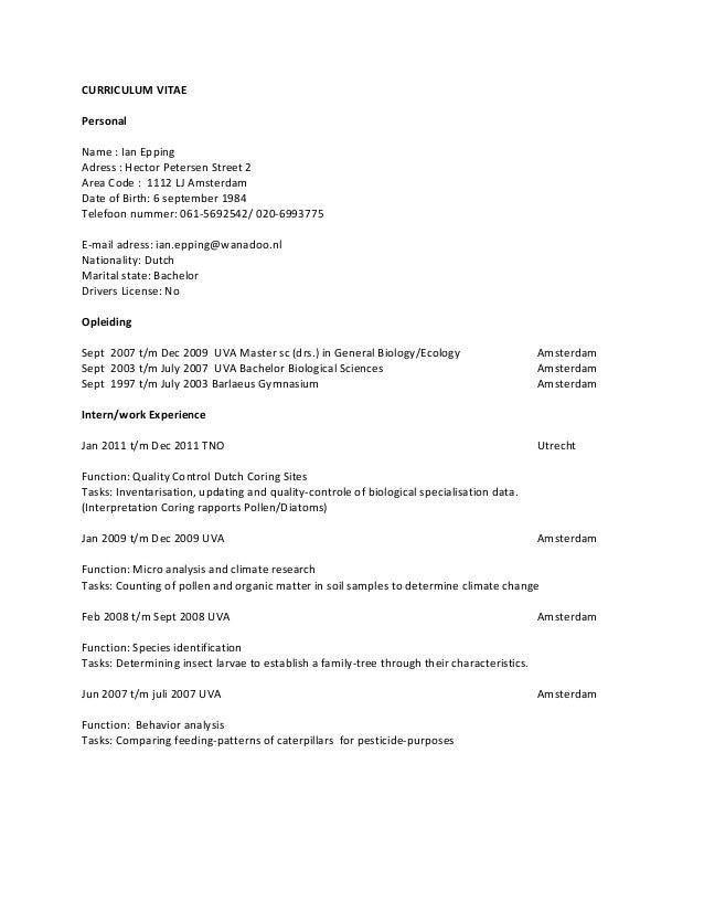 Cv Ian Epping Engels V2