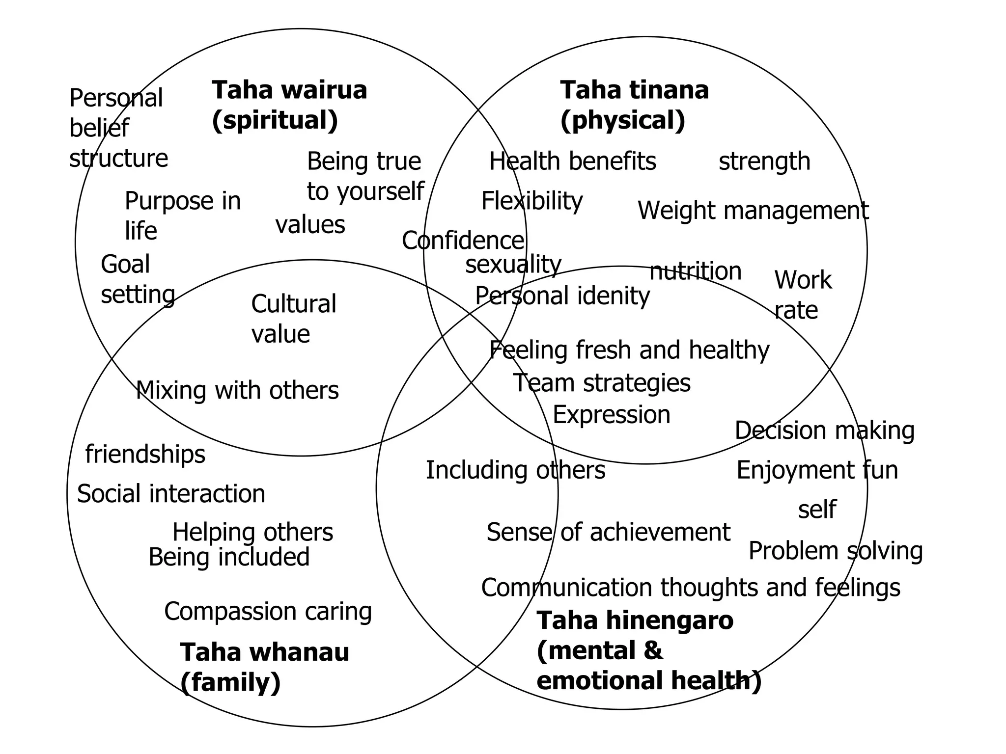 Taha wairua (spiritual) Taha tinana (physical) Taha whanau (family) Taha hinengaro (mental & emotional health) Purpose in life Being true to yourself Goal setting values Personal belief structure Cultural value Mixing with others Confidence Flexibility Health benefits Weight management nutrition Work rate strength sexuality Personal idenity Feeling fresh and healthy Team strategies Expression Including others Decision making self Enjoyment fun Problem solving Communication thoughts and feelings Sense of achievement friendships Social interaction Helping others Being included Compassion caring 