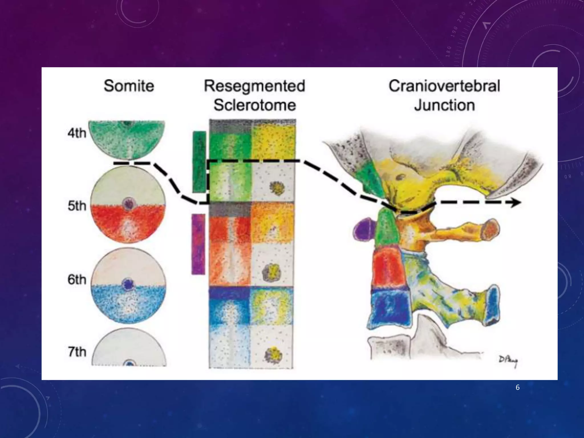 Imaging in CranioVertebral Junction Anomalies | PPTX