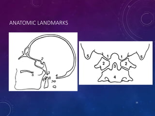 ANATOMIC LANDMARKS
15
 