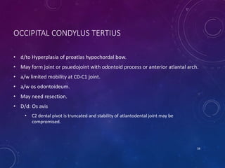 OCCIPITAL CONDYLUS TERTIUS
• d/to Hyperplasia of proatlas hypochordal bow.
• May form joint or psuedojoint with odontoid process or anterior atlantal arch.
• a/w limited mobility at C0-C1 joint.
• a/w os odontoideum.
• May need resection.
• D/d: Os avis
• C2 dental pivot is truncated and stability of atlantodental joint may be
compromised.
58
 