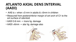 Comprehensive Overview of Craniovertebral Junction Anatomy and ...
