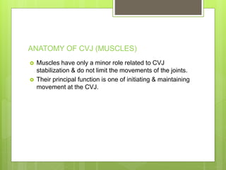 ANATOMY OF CVJ (MUSCLES)
 Muscles have only a minor role related to CVJ
stabilization & do not limit the movements of the joints.
 Their principal function is one of initiating & maintaining
movement at the CVJ.
 