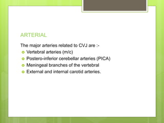 ARTERIAL
The major arteries related to CVJ are :-
 Vertebral arteries (m/c)
 Postero-inferior cerebellar arteries (PICA)
 Meningeal branches of the vertebral
 External and internal carotid arteries.
 