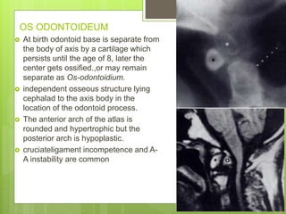 OS ODONTOIDEUM
 At birth odontoid base is separate from
the body of axis by a cartilage which
persists until the age of 8, later the
center gets ossified.,or may remain
separate as Os-odontoidium.
 independent osseous structure lying
cephalad to the axis body in the
location of the odontoid process.
 The anterior arch of the atlas is
rounded and hypertrophic but the
posterior arch is hypoplastic.
 cruciateligament incompetence and A-
A instability are common
 