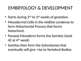 Mesodermal Development CVJ ANOMALIES RJJ.powerpoint presentation | PPTX