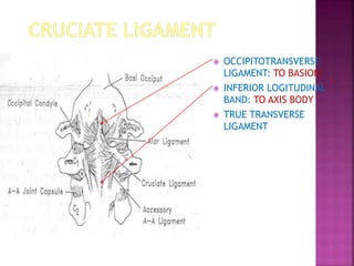  OCCIPITOTRANSVERSE
LIGAMENT: TO BASION
 INFERIOR LOGITUDINAL
BAND: TO AXIS BODY
 TRUE TRANSVERSE
LIGAMENT
 