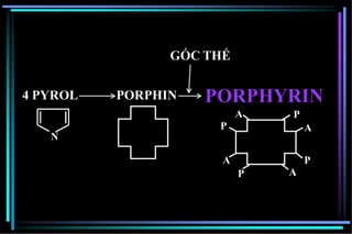 4 PYROL PORPHIN PORPHYRIN
GỐC THẾ
N
P
A
P
AP
A
P
A
 