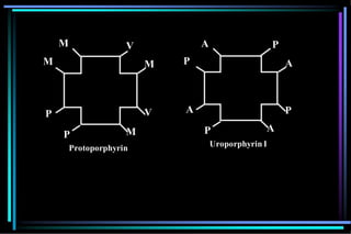 P P
V
M
V
M
P
M
M
Protoporphyrin
P
A
P
P
A
A
A
Uroporphyrin I
 