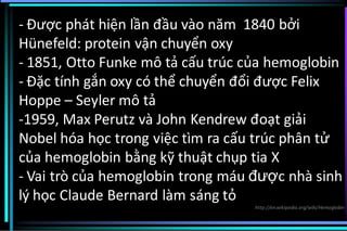 - Được phát hiện lần đầu vào năm 1840 bởi
Hünefeld: protein vận chuyển oxy
- 1851, Otto Funke mô tả cấu trúc của hemoglobin
- Đặc tính gắn oxy có thể chuyển đổi được Felix
Hoppe – Seyler mô tả
-1959, Max Perutz và John Kendrew đoạt giải
Nobel hóa học trong việc tìm ra cấu trúc phân tử
của hemoglobin bằng kỹ thuật chụp tia X
- Vai trò của hemoglobin trong máu được nhà sinh
lý học Claude Bernard làm sáng tỏ
http://en.wikipedia.org/wiki/Hemoglobin
 