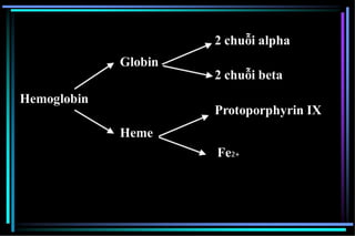 Hemoglobin
Globin
2 chuỗi alpha
2 chuỗi beta
Protoporphyrin IX
Heme
Fe2+
 
