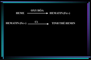 OXY HÓA
HEME HEMATIN (Fe3+)
HEMATIN (Fe3+) Cl-
TINH THỂ HEMIN
 