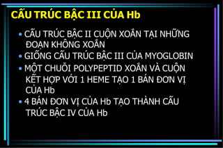 CẤU TRÚC BẬC III CỦA Hb
• CẤU TRÚC BẬC II CUỘN XOẮN TẠI NHỮNG
ĐOẠN KHÔNG XOẮN
• GIỐNG CẤU TRÚC BẬC III CỦA MYOGLOBIN
• MỘT CHUỖI POLYPEPTID XOẮN VÀ CUỘN
KẾT HỢP VỚI 1 HEME TẠO 1 BÁN ĐƠN VỊ
CỦA Hb
• 4 BÁN ĐƠN VỊ CỦA Hb TẠO THÀNH CẤU
TRÚC BẬC IV CỦA Hb
 