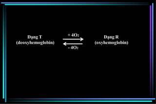 Dạng T
(deoxyhemoglobin)
Dạng R
(oxyhemoglobin)
+ 4O2
- 4O2
 