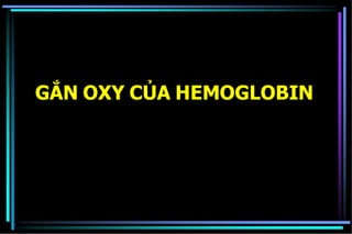 GẮN OXY CỦA HEMOGLOBIN
 