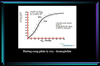 Đường cong phân ly oxy - hemoglobin
 