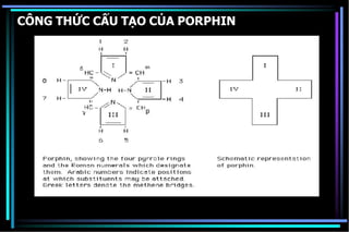 CÔNG THỨC CẤU TẠO CỦA PORPHIN
 