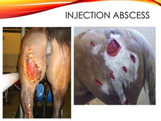 INJECTION ABSCESS
 