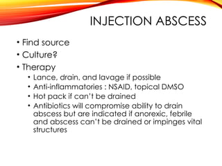 INJECTION ABSCESS
• Find source
• Culture?
• Therapy
• Lance, drain, and lavage if possible
• Anti-inflammatories : NSAID, topical DMSO
• Hot pack if can’t be drained
• Antibiotics will compromise ability to drain
abscess but are indicated if anorexic, febrile
and abscess can’t be drained or impinges vital
structures
 