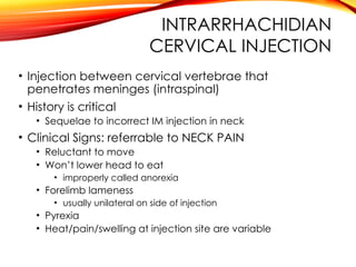INTRARRHACHIDIAN
CERVICAL INJECTION
• Injection between cervical vertebrae that
penetrates meninges (intraspinal)
• History is critical
• Sequelae to incorrect IM injection in neck
• Clinical Signs: referrable to NECK PAIN
• Reluctant to move
• Won’t lower head to eat
• improperly called anorexia
• Forelimb lameness
• usually unilateral on side of injection
• Pyrexia
• Heat/pain/swelling at injection site are variable
 