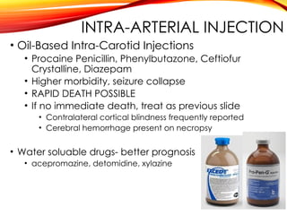 INTRA-ARTERIAL INJECTION
• Oil-Based Intra-Carotid Injections
• Procaine Penicillin, Phenylbutazone, Ceftiofur
Crystalline, Diazepam
• Higher morbidity, seizure collapse
• RAPID DEATH POSSIBLE
• If no immediate death, treat as previous slide
• Contralateral cortical blindness frequently reported
• Cerebral hemorrhage present on necropsy
• Water soluable drugs- better prognosis
• acepromazine, detomidine, xylazine
 