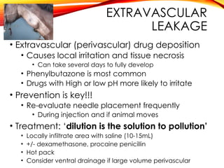 EXTRAVASCULAR
LEAKAGE
• Extravascular (perivascular) drug deposition
• Causes local irritation and tissue necrosis
• Can take several days to fully develop
• Phenylbutazone is most common
• Drugs with High or low pH more likely to irritate
• Prevention is key!!!
• Re-evaluate needle placement frequently
• During injection and if animal moves
• Treatment: ‘dilution is the solution to pollution’
• Locally infiltrate area with saline (10-15mL)
• +/- dexamethasone, procaine penicillin
• Hot pack
• Consider ventral drainage if large volume perivascular
 