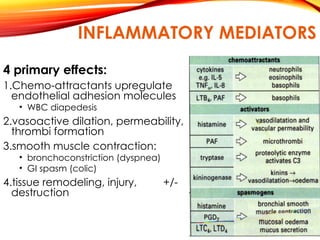 INFLAMMATORY MEDIATORS
4 primary effects:
1.Chemo-attractants upregulate
endothelial adhesion molecules
• WBC diapedesis
2.vasoactive dilation, permeability,
thrombi formation
3.smooth muscle contraction:
• bronchoconstriction (dyspnea)
• GI spasm (colic)
4.tissue remodeling, injury, +/-
destruction
 