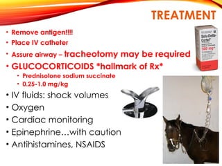 TREATMENT
• Remove antigen!!!!
• Place IV catheter
• Assure airway – tracheotomy may be required
• GLUCOCORTICOIDS *hallmark of Rx*
• Prednisolone sodium succinate
• 0.25-1.0 mg/kg
• IV fluids: shock volumes
• Oxygen
• Cardiac monitoring
• Epinephrine…with caution
• Antihistamines, NSAIDS
 