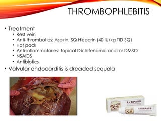 THROMBOPHLEBITIS
• Treatment
• Rest vein
• Anti-thrombotics: Aspirin, SQ Heparin (40 IU/kg TID SQ)
• Hot pack
• Anti-inflammatories: Topical Diclofenamic acid or DMSO
• NSAIDS
• Antibiotics
• Valvular endocarditis is dreaded sequela
 