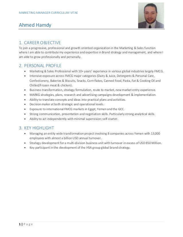marketing manager cv v 08dec15 resume of marketing manager