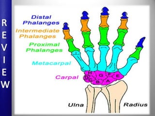 CVM staging and handwrist radiographs | PPTX