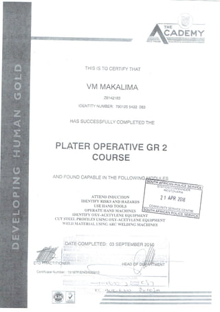 boilermaker artisan (red seal)