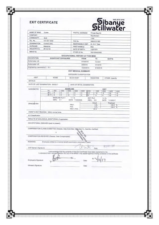 boilermaker artisan (red seal)
