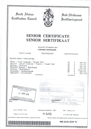 boilermaker artisan (red seal)