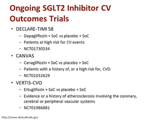 Glycemic Control & CV outcome study by lars bryden