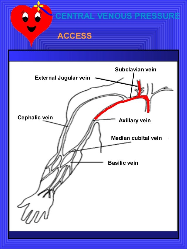 central venous pressure