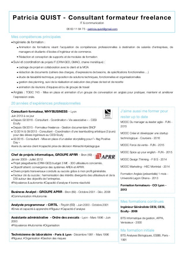 Exemple de CV consultant informatique