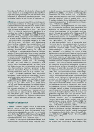Sin embargo, la difusión directa de las células neoplá-
sicas ováricas en la cavidad peritoneal, desempeña un
papel crítico y muy común (mucho mas frecuente que las
metástasis) en la progresión del cáncer de ovario. La de-
nominación correcta de este proceso, es diseminación.
Felinos: Los tumores ováricos felinos también pueden
ser derivados epiteliales, de células germinales y de cé-
lulas estromales de cordones sexuales. Estos últimos,
son por lejos, los mas comunes con al menos un 50
% de los casos reportados (Norris y col., 1969; Stein,
1981;). La mitad de los tumores de las células de la
granulosa son malignos (Arnberg, 1980; Basaraba y
col., 1998; Norris y col., 1969; Stein, 1981; Theilen y
Madewell, 1979). Al igual que en los caninos la mayo-
ría de ellos muestra evidencia de cambios hormonales
y son comúnmente unilaterales (Gelberg y McEntee,
1985; Norris y col., 1969; Stein, 1981). Los sitios de
diseminación y metástasis reportados incluyen: peri-
toneo, ganglios linfáticos lumbares, omento, diafrag-
ma, riñón bazo, hígado y pulmones (Arnberg, 1980;
Gelberg y McEntee, 1985; Norris y col., 1969). En
un estudio de 14 tumores de estromales de cordones
sexuales, 5 fueron clasificados como tumores glandula-
res intersticiales (lúteomas); y todos estos tuvieron un
comportamiento benigno (Gelberg y McEntee, 1985).
Aproximadamente un 15 % de las neoplasias felinas
son disgerminomas (Andrews y col., 1974; Gelberg y
McEntee, 1985; Stein, 1981). En un estudio 2 de 6
tumores fueron bilaterales (Gelberg y McEntee, 1985).
Los disgeminomas son considerados generalmente
como hormonalmente inactivos y presentan un bajo
potencial metastático; Aunque la incidencia de me-
tástasis puede variar entre un 20 % (Andrews y col.,
1974) a 33 % (Gelberg y McEntee, 1985). Esos tumo-
res tienden a ser encapsulados, lisos, densos y de gran
tamaño dentro del ovario (Andrews y col., 1974; Norris
y col., 1969). Los teratomas son reportados raramen-
te (Basaraba y col., 1998; Gelberg y McEntee, 1985;
Gruys y van Dijk, 1976; Norris y col., 1969; Stein,
1981) y ellos pueden demostrar un comportamiento
maligno (Gruys y van Dijk, 1976; Norris y col., 1969).
Los tumores epiteliales son extremadamente raros
en los felinos. Los cistoadenomas y los adenocarcino-
mas ováricos han sido reportados (Gelberg y McEn-
tee, 1985; Norris y col., 1969). Los adenocarcinomas
tienden a dar metástasis y/o diseminación en pulmón,
hígado y cavidad peritoneal (Norris y col., 1969).
Presentación clínica
Caninos: La historia y signos clínicos de los tumores
ováricos caninos pueden ser bastante variables de-
pendiendo del tejido de origen. Con excepción de los
teratomas los cuales pueden ser vistos en hembras jó-
venes (Gelberg y McEntee, 1985; Hayes y Young, 1978;
Wilson y col., 1985), estos tumores ocurren mayorita-
riamente de mediana edad a animales viejos.
La mayoría de los tumores epiteliales suelen ser asin-
tomático hasta que la masa ocupa espacios vitales
en donde aparecen los signos clínicos (Greene y col.,
1979; Herron, 1983). Los tumores epiteliales pueden
presentarse con ascitis (Greene y col., 1979; Herron,
1983), también la efusión pleural ha sido observada
debido a metástasis toráxicos (Greene y col., 1979).
El análisis citológico de los fluido podría revelar raci-
mos celulares sugestivos de adenocarcinoma (Greene
y col., 1979; Herron, 1983).
Los tumores de células germinales han sido asocia-
dos con disfunción hormonal, pero mayormente son
asociados con signos clínicos debidos a la ocupa-
ción de espacios vitales. Los teratomas en particular
pueden alcanzar grandes tamaños (Gruys y van Dijk,
1976; Herron, 1983; Wilson y col., 1985) y áreas de
calcificación a menudo son vistas en las radiografías
abdominales de rutina (Greenlee y Patnaik, 1985; He-
rron, 1983; Wilson y col., 1985).
Ha sido documentado, como se comentaba ante-
riormente, que los tumores estromales de cordones
sexuales tienen la habilidad de producir hormonas
esteroides (Anderson, 1986; Cotchin, 1961; Herron,
1983; Nielsen y col., 1976; Patnaik y col., 1987; Thei-
len y Madewell, 1979; Yamini y col., 1997). El exce-
sivo estrógeno producido podría aumentar el tamaño
vulvar, producir descarga vulvar sanguinolenta, estro
persistente, alopecia y/o pancitopenia. La excesiva
producción de progesterona en cambio podría princi-
palmente producir hiperplasia endometrial quistica/
piómetra. Junto con los signos anteriormente cita-
dos debidos a la producción excesiva de estrógenos
y progesterona, un tumor semejante a un luteoma,
productor de esteroides ováricos, ha sido asociado
con hiperadrenocorticismo en un perro (Yamini y col.,
1997). Una crisis hipoadrenal podría ocurrir segui-
da a la remoción quirúrgica del tumor. Los signos
clínicos y la funcionalidad del eje pituitario/adrenal
podrían ser normalizado un mes mas tarde con el tra-
tamiento con dexametasona. Raramente los tecomas
pueden producir estrógenos y los lúteomas pueden
tener secundariamente efectos masculinizantes. Si
una neoplasia funcional es sospechada, esta indica-
do una evaluación minuciosa mediante vaginoscopía
y citología vaginal, en busca de evidencia de células
superficiales queratinizadas sugestivas de la acción
hormonal. También debería medirse el nivel de pro-
gesterona sanguínea, cuyo valor por encima de los
2 ng/ml también serian sugestivos de una neoplasia
funcional (Johnston, 1993). Los tumores sexuales de
cordones estromales pueden producir una o múlti-
ples hormonas, ninguna o todas (Cotchin 1961; Ha-
yes y Harvey, 1979; McCandlish y col., 1979; Nielsen
y col., 1976; Patnaik y Greenlee, 1987).
A pesar de que pueden ser o no funcionales, la mayo-
ría de los tumores de cordones sexuales son unilate-
rales y suficientemente grandes para ser palpables al
tiempo de presentación de los signos clínicos (Ander-
son, 1986; Herron, 1983; Patnaik y Greenlee, 1987;
Yamini y col., 1997).
Felinos: Los tumores de células de la granulosa son
los tumores más comúnmente diagnosticados (Gel-
 