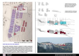 Cv + portfolio Urbino dec. 2011