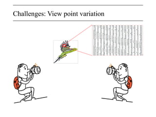 Challenges: View point variation
 