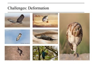 Challenges: Deformation
 