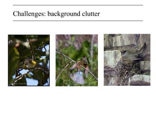 Challenges: background clutter
 