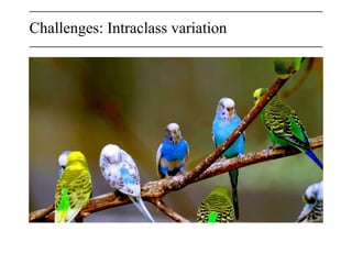 Challenges: Intraclass variation
 