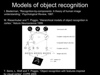 Models of object recognition I. Biederman, “Recognition-by-components: A theory of human image understanding,”  Psychological Review , 1987. M. Riesenhuber and T. Poggio, “Hierarchical models of object recognition in cortex,”  Nature Neuroscience  1999. T. Serre, L. Wolf and T. Poggio. “Object recognition with features inspired  by visual cortex”. CVPR 2005  